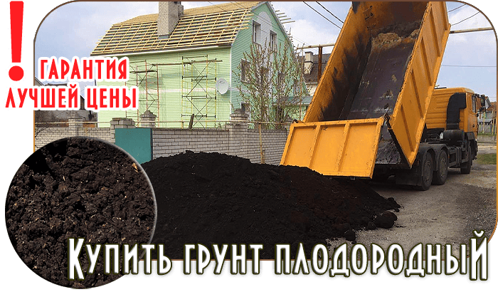 Дачники Истринского района уже оценили преимущества плодородного грунта с доставкой по Истринскому району, который значительно улучшает структуру почвы.